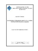 SO SÁNH HOẠT TÍNH KHÁNG KHUẨN của 11 DÒNG sâm đại HÀNH (eleutherine subaphylla) 