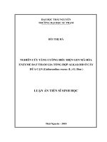 Nghiên cứu tăng cường biểu hiện gen mã hóa enzyme DAT tham gia tổng hợp alkaloid ở cây dừa cạn (Catharanthus roseus (L.) G. Don) (Luận văn thạc sĩ)