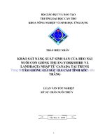 KHẢO sát NĂNG SUẤT SINH sản của HEO nái NUÔI CON GIỐNG THUẦN (YORKSHIRE và LANDRACE) NHẬP TỪCANADA tại TRUNG tâm GIỐNG GIA súc GIA cầm TỈNH sóc TRĂNG 