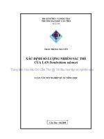 XÁC ĐỊNH số LƯỢNG NHIỄM sắc THỂ của LAN dendrobium udomsri 