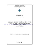 SO SÁNH sự SINH TRƯỞNG, NĂNG SUẤT và tỉ lệ TRÁI VUÔNG của 3 GIỐNG dưa hấu GHÉP TRÊN gốc bầu SAO 