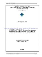 NGHIÊN cứu đậu stylosanthes hatama với các mức PHÂN bón KHÁC NHAU 