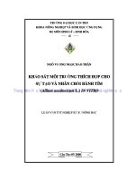 KHẢO sát môi TRƯỜNG THÍCH hợp CHO sự tạo và NHÂN CHỒI HÀNH tím 