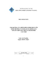 ẢNH HƯỞNG của PHÂN bón SUPER SILIC lên SINH TRƯỞNG và NĂNG SUẤT GIỐNG lúa OM 2514 TRÊN đất PHÙ SA THÀNH PHỐ cần THƠ 