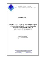 ĐÁNH GIÁ KHẢ NĂNG KHÁNG BỆNH lúa VON của 12 GIỐNG lúa đối với 7 CHỦNG nấm fusarium moniliforme THU THẬP ở ĐỒNG BẰNG SÔNG cửu LONG 