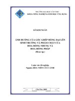 ẢNH HƯỞNG của gốc GHÉP HỒNG dại lên SINH TRƯỞNG và PHẨM CHẤT của HOA HỒNG NHUNG và HOA HỒNG PHÁP 