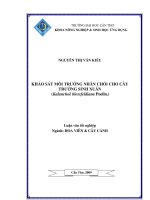 KHẢO sát môi TRƯỜNG NHÂN CHỒI CHO cây TRƯỜNG SINH XUÂN (kalanchoëblossfeldianapoelln ) 