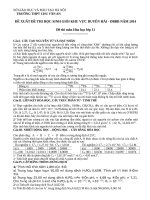 De thi HSG duyen hai – DBBB 2014 – mon hoa 11