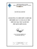 ẢNH HƯỞNG của PHÂN hữu cơ đến độ PHÌ NHIÊU đất và NĂNG SUẤT TIÊU TRÊN đất bạc màu tại HUYỆN PHÚ QUỐC   KIÊN GIANG 