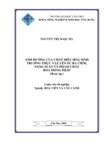 ẢNH HƯỞNG của CHẤT điều hòa SINH TRƯỞNG THỰC vật lên sự RA CHỒI, NĂNG SUẤT và PHẨM CHẤT HOA HỒNG PHÁP 