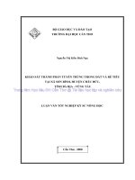 KHẢO sát THÀNH PHẦN TUYẾN TRÙNG TRONG đất và rễ TIÊU tại xã sơn BÌNH, HUYỆN CHÂU đức, TỈNH bà rịa   VŨNG tàu 