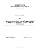 THIẾT lập cơ sở dữ LIỆU đàn HEO GIỐNG tại TRUNG tâm GIỐNG GIA súc, GIA cầm sóc TRĂNG 
