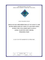 KHẢO sát đặc điểm HÌNH THÁI, sự nẩy mầm và ẢNH HƯỞNG BORAX đến sức SỐNG của hạt PHẤN NHÃN XUỒNG cơm VÀNG (DIMOCARPUS LONGAN LOUR ) tại HUYỆN CHÂU THÀNH, TỈNH ĐỒNG THÁP 