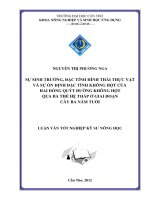 SỰ SINH TRƯỞNG, đặc TÍNH HÌNH THÁI THỰC vật và sự ổn ĐỊNH đặc TÍNH KHÔNG hột của HAI DÒNG QUÝT ĐƯỜNG KHÔNG hột QUA BA THẾ hệ THÁP ở GIAI đoạn cây BA năm TUỔI 