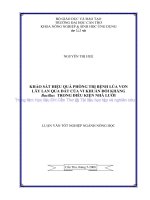 KHẢO sát HIỆU QUẢ PHÒNG TRỊ BỆNH lúa VON lây LAN QUA đất của VI KHUẨN đối KHÁNG bacillus TRONG điều KIỆN NHÀ lưới 