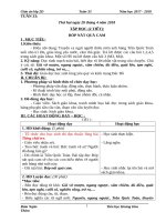 Tuần 33 giáo án lớp 2 soạn theo định hướng phát triển năng lực học sinh