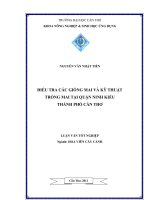 ĐIỀU TRA các GIỐNG MAI và kỹ THUẬT TRỒNG MAI tại QUẬN NINH KIỀU THÀNH PHỐ cần THƠ 
