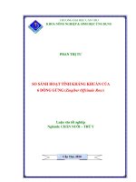 SO SÁNH HOẠT TÍNH KHÁNG KHUẨN của 6 DÒNG GỪNG (zingiber offcinale rosc) 