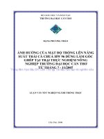 ẢNH HƯỞNG của mật độ TRỒNG lên NĂNG SUẤT TRÁI cà CHUA HW 96 DÙNG làm gốc GHÉP tại TRẠI THỰC NGHIỆM NÔNG NGHIỆP TRƯỜNG đại học cần THƠ từ THÁNG 7   11 2007 