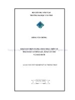 KHẢO sát HIỆN TƯỢNG CHÁY NHỰA TRÊN vỏ TRÁI XOÀI cát hòa lộc, XOÀI cát CHU và XOÀI bưởi 