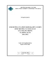 ẢNH HƯỞNG của PHÂN rơm rạ hữu cơ đến SINH TRƯỞNG và NĂNG SUẤT lúa MTL392 TRONG vụ ĐÔNG XUÂN 2011   2012 