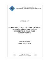 ẢNH HƯỞNG của vị TRÍ GHÉP TRÊN gốc BÌNH bát dây lên KHẢ NĂNG SINH TRƯỞNG của dưa lê KIM cô NƯƠNG 