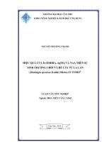 HIỆU QUẢ của fe   EDDHA, AgNO3 và NAA TRÊN sự SINH TRƯỞNG CHỒI và rễ cây tử LA LAN (sinningia speciosa (lodd ) hiern) IN VITRO 