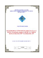 SO SÁNH HOẠT TÍNH KHÁNG KHUẨN của lá BÀNG (terminalia catappa l) được LY TRÍCH BẰNG ETHANOL 90 o và ETHANOL 70 o 