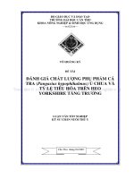 ĐÁNH GIÁ CHẤT LƯỢNG PHỤ PHẨM cá TRA(Pangasius hypophthalmus) ủ CHUA và tỷ lệ TIÊU hóa TRÊN HEO YORKSHIRE TĂNG TRƯỞNG 