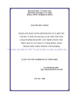 KHẢO sát KHẢ NĂNG đối KHÁNG của một số CHỦNG VI KHUẨN BACILLUS SP  đối với nấm COLLETOTRICHUM SPP  gây BỆNH THÁN THƯ TRÊN SEN ởcần THƠVÀ TỈNH ĐỒNG THÁP TRONG điều KIỆN PHÒNG THÍ NGHIỆM 