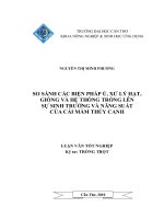 SO SÁNH các BIỆN PHÁP ủ, xử lý hạt, GIỐNG và hệ THỐNG TRỒNG lên sự SINH TRƯỞNG và nă NG SUẤT của cải mầm THỦY CANH 