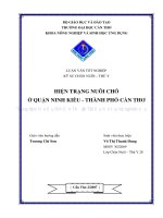 HIỆN TRẠNG NUÔI CHÓ ở QUẬN NINH KIỀU   THÀNH PHỐ cần THƠ 