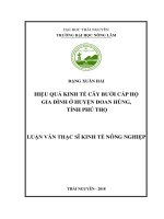 Hiệu quả kinh tế cây bưởi cấp hộ gia đình ở huyện Đoan Hùng, tỉnh Phú Thọ (Luận văn thạc sĩ)