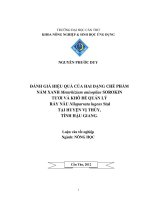 ĐÁNH GIÁ HIỆU QUẢ của HAI DẠNG CHẾ PHẨM nấm XANH metarhizium anisopliaeSOROKIN tươi và KHÔ để QUẢN lý rầy nâu nilaparvata lugensstal tại HUYỆN vị THỦY, TỈNH hậu GIANG 