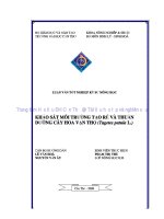 KHẢO sát môi TRƯỜNG tạo rễ và THUẦN DƯỠNG cây HOA vạn THỌ 