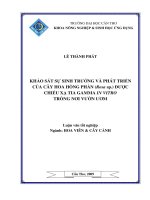 KHẢO sát sự SINH TRƯỞNG và PHÁT TRIỂN của cây HOA HỒNG PHẤN (rosasp ) được CHIẾU xạ TIA GAMMA IN VITRO TRỒNG nơi vườn ươm 
