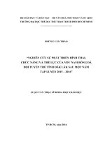 Nghiên Cứu Sự Phát Triển Hình Thái, Chức Năng Và Thể Lực Của Vđv Nam Bóng Đá Đội Tuyển Trẻ Tỉnh Đăk Lăk Sau Một Năm Tập Luyện 2015 – 2016