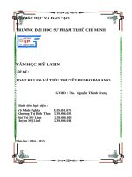 NHÓM 9 PEDRO PARAMO