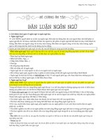 Dân luận ngôn ngữ học