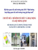 Chuyên Đề  Mô Hình Tổ Chức Và Hoạt Động Của Hệ Thống Quan Trắc Môi Trường