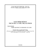 Trưng bày và tiêu thụ sản phẩm