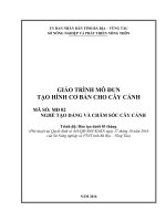GIÁO TRÌNH MÔ ĐUN TẠO HÌNH CƠ BẢN CHO CÂY CẢNH