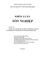 NGHIÊN CỨU VIỆC TIẾP CẬN CÁC QUYỀN SỬ DỤNG ĐẤT CỦA PHỤ NỮ VÀ NAM GIỚI TẠI XÃ LĂNG, HUYỆN TÂY GIANG, TỈNH QUẢNG NAM