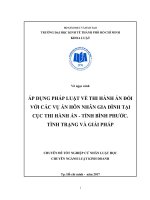 ÁP DỤNG PHÁP LUẬT về THI HÀNH án đối với các vụ án hôn NHÂN GIA ĐÌNH tại cục THI HÀNH án   TỈNH BÌNH PHƯỚC TÌNH TRẠNG và GIẢI PHÁP