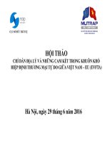 Chỉ Dẫn Địa Lý Và Những Cam Kết Trong Khuôn Khổ Hiệp Định Thương Mại Tự Do Giữa Việt Nam – EU (EVFTA)