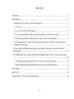 bài tập học kỳ tư pháp quốc tế