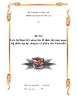 Liên hệ thực tiễn công tác tổ chức bộ máy quản trị nhân lực tại công ty cổ phần sữa vinamilk