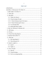 Bài tiểu luận về công ty TNHH Bình Anh