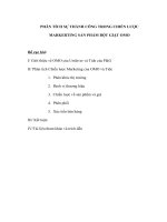 Phân tích sự thành công trong chiến lược markerting sản phẩm bột giặt OMO 