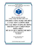 TÌM HIỂU CÔNG NGHỆ CHẾ BIẾN CÁ NỤC SỐT CÀ ĐÓNG HỘP NÊU CÁC HIỆN TƯỢNG HƯ HỎNG THƯỜNG GẶP VÀ BIỆN PHÁP KHẮC PHỤC. ĐỀ XUẤT QUY TRÌNH CHẾ BIẾN